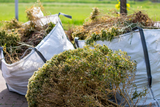 Best Affordable Junk Removal Services  in Bradley Gardens, NJ